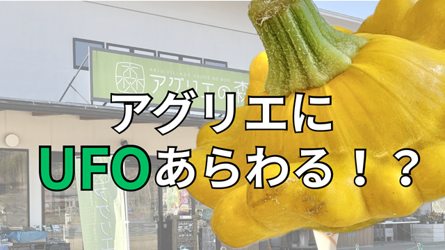 アグリエの森にUFOあらわる！？ - お茶の井ヶ田 | チャットーク