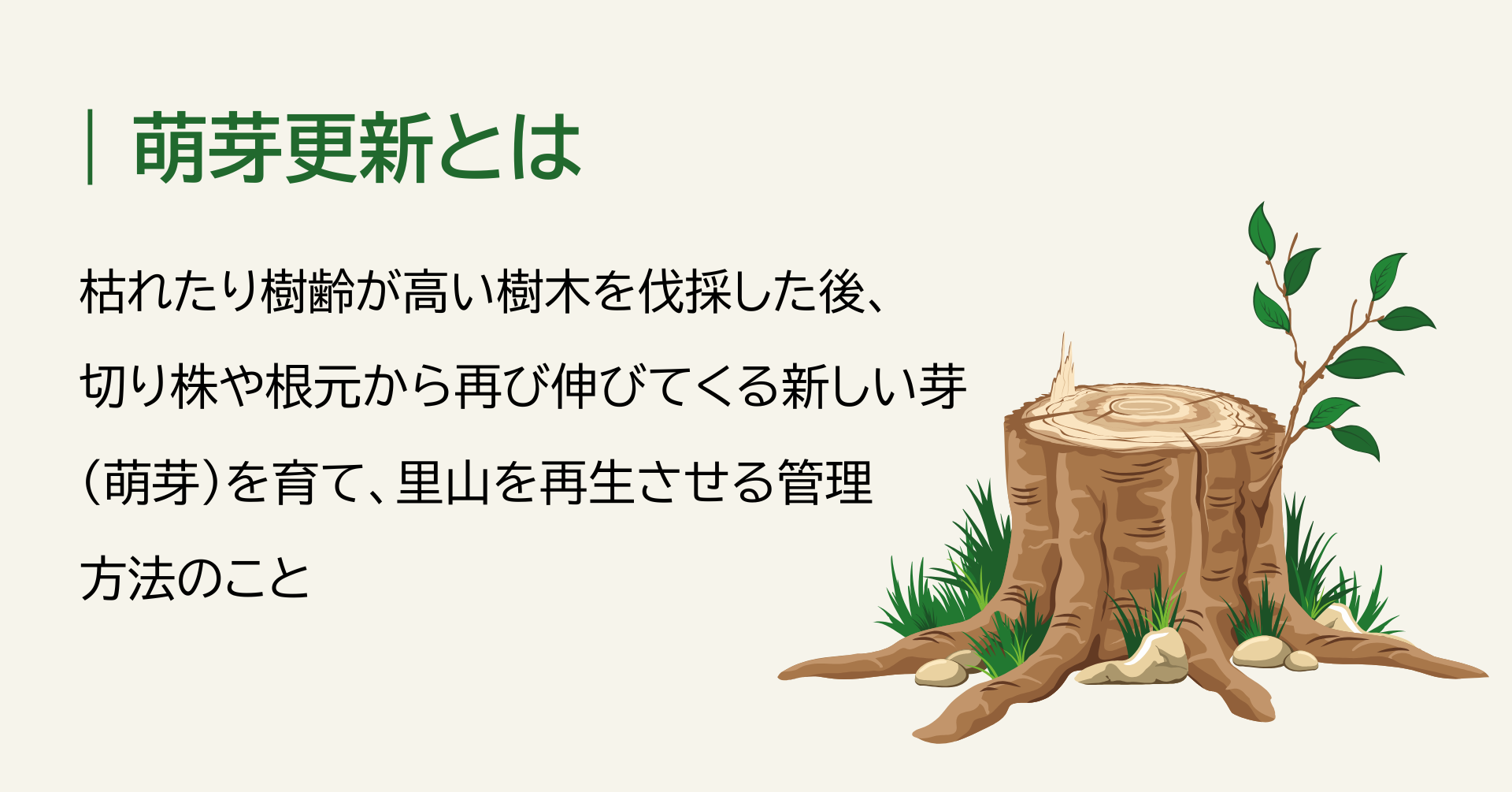 訪問レポート】川崎町での里山保全の取組（SAVE JAPAN2025-2026