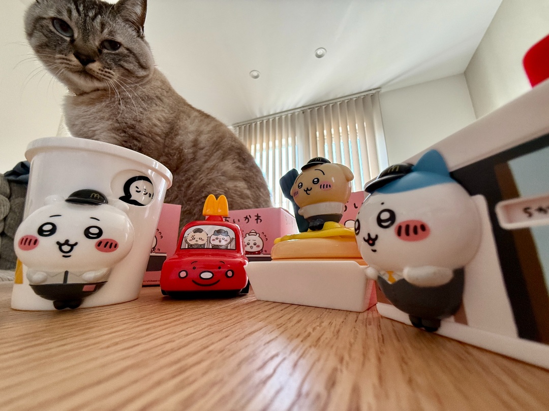 ちいかわ求め十勝のマックも大盛況 それって、朝イチ並ばなきゃ