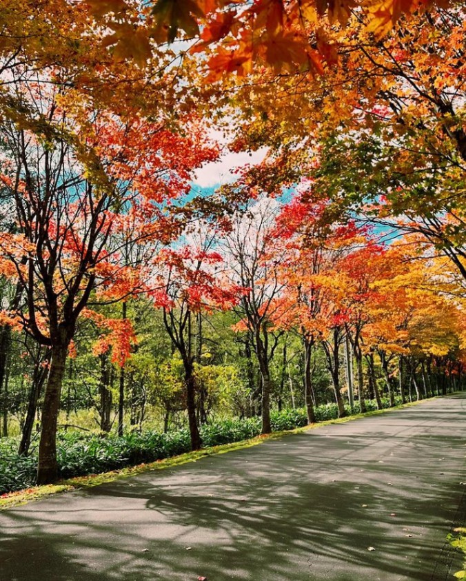 過ぎた十勝の紅葉を、写真で振り返ろう #紅葉十勝 - Chai Cross