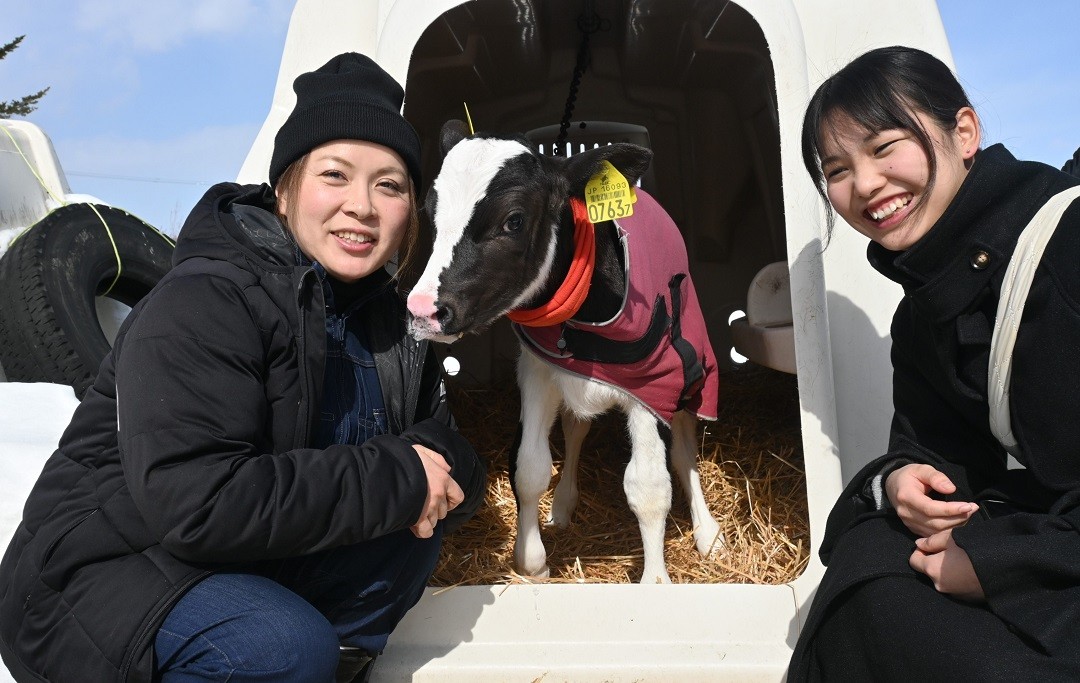 近世・近代における近郊農業の展開 地帯形成および特権市場と農民の確執/古今書院/新井鎮久（単行本） 楽天ブックス: 近世・近代における近郊農業の展開 - 地帯形成