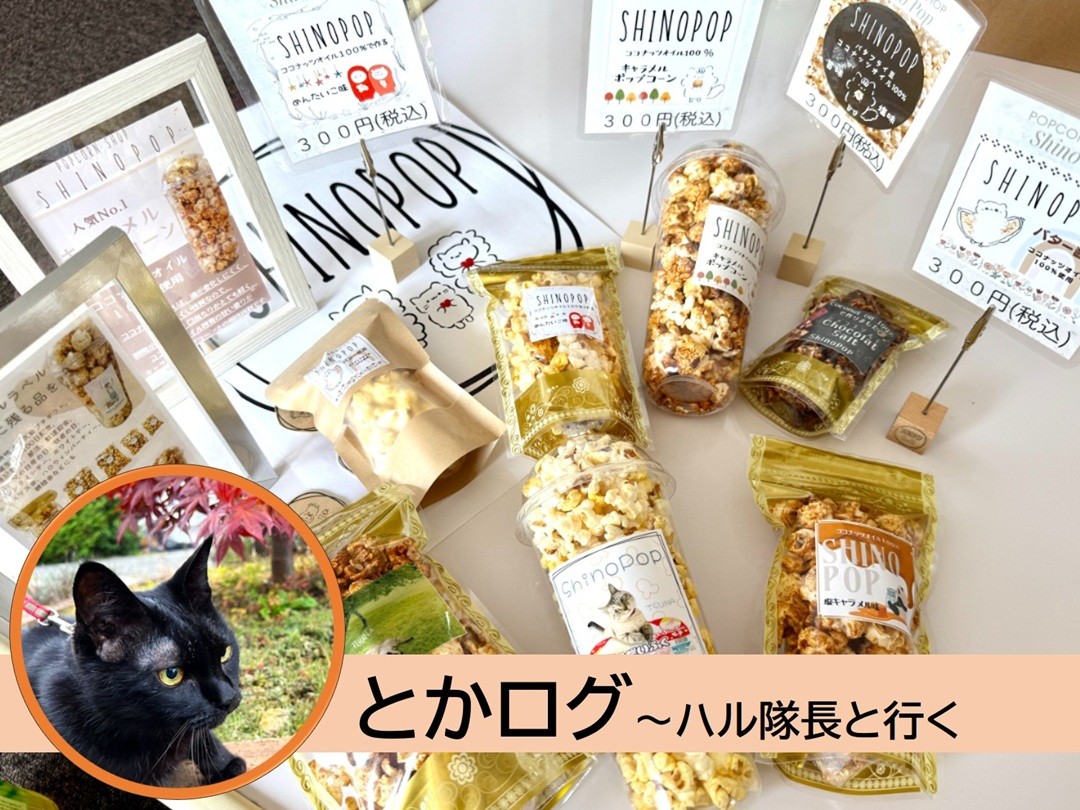 池田町利別にポップコーン専門店「シノポップ」がオープン！ 味は充実