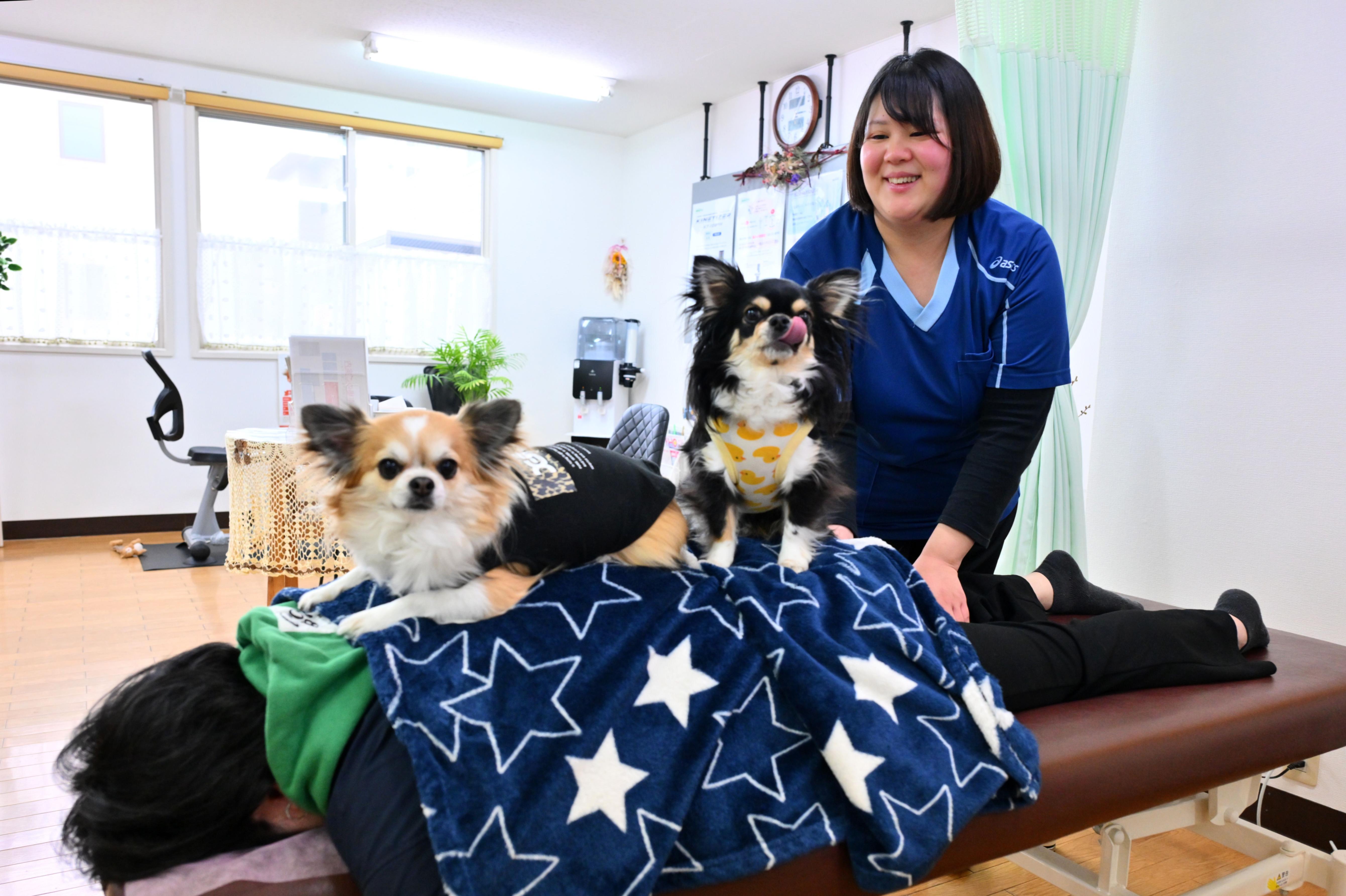 4月20日は「腰痛ゼロの日」 女性院長と元気な看板犬が営む「ひまわり