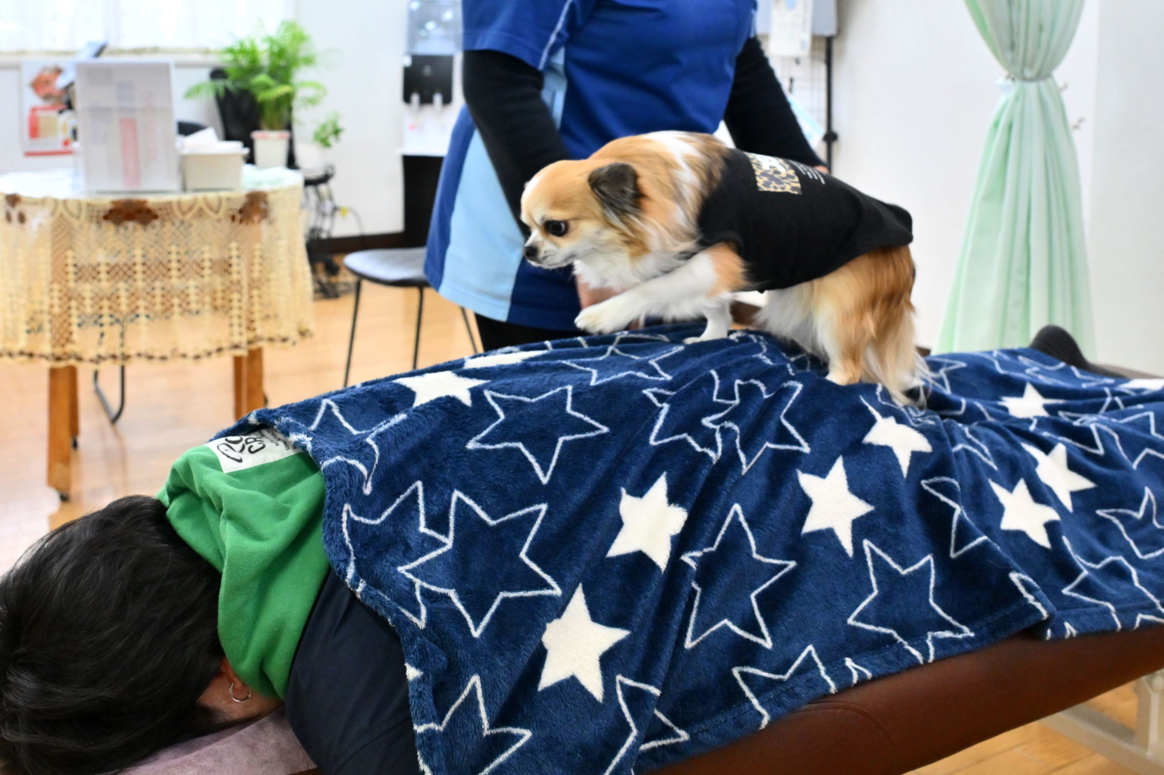 4月20日は「腰痛ゼロの日」 女性院長と元気な看板犬が営む「ひまわり