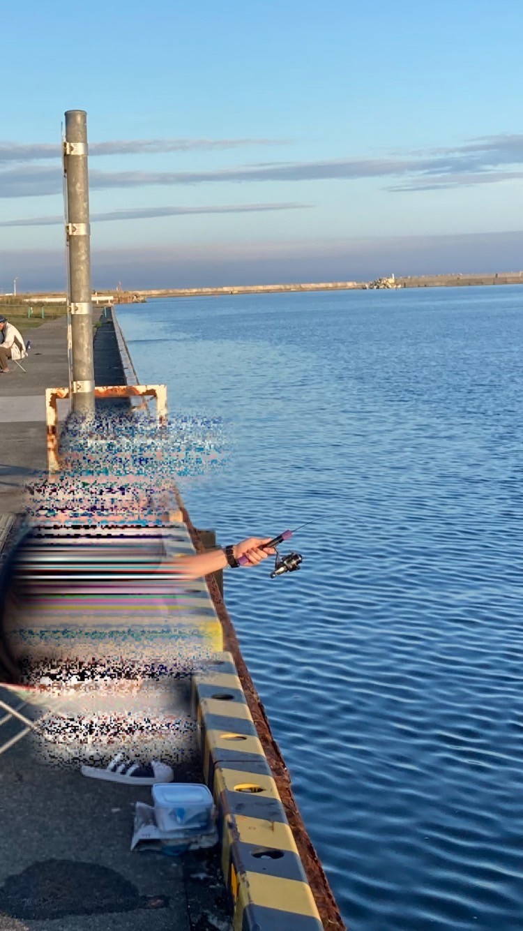 初心者がワカサギ用の竿で、大津漁港で釣りしてみた - Chai Cross