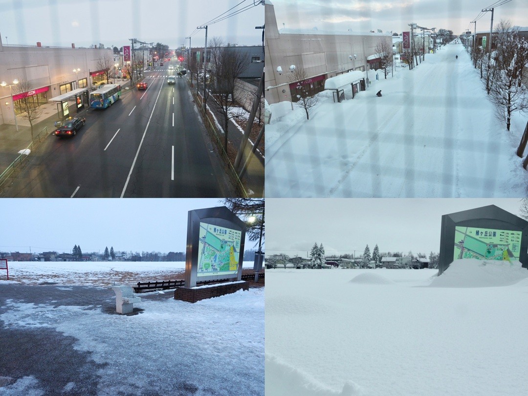 十勝帯広で史上最大の大雪 一晩で変わり果てた市内の様子を比較 - Chai